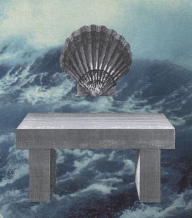 Coquillage; Coquille St Jacques; Table; présentation; tempête; vagues; éléments; gravure; couleur; bleu;